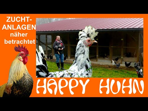 , title : 'E115 Zuchtställe näher betrachtet - HAPP HUHN - Ideen für Hühnerställe - Zuchtanlagen für Hühner'