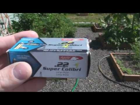Super Colibri 22LR Ammo / Crickett Rifle