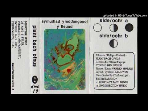 Plant Bach Ofnus - ○