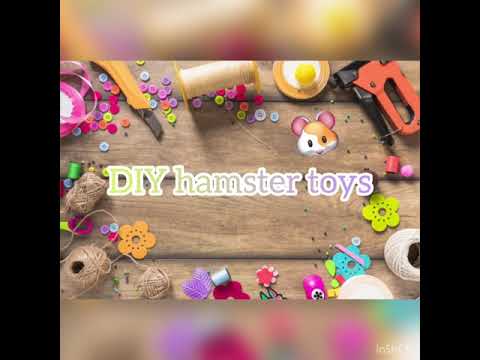5 minute DIY hamster toys!