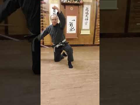 AZBujinkan - 15 - Gogyo From Seiza