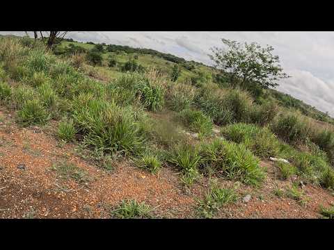 06.10.2026 GX010376 #daily #anapolis #goiás #cycling #mtb #brasil #youtube #bike #street #dailyvlog