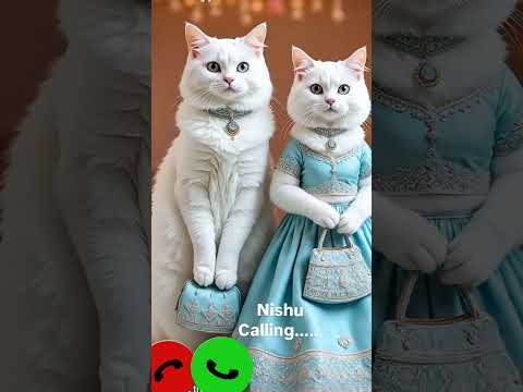 nishu calling✨🤙viral 🔥ringtone mi#🤙viralshortvedeo#yt#short#vedeo#cute#cat#frend#nishu#calling#mi#🤙#