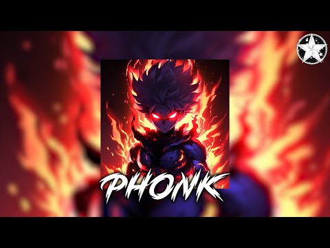 Brazilian Phonk Mix 2025 ※ Best Baile Funk ※ Tik Tok Viral Phonk Music Mix #725
