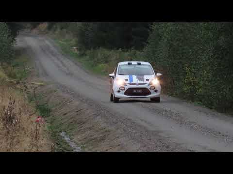 Aurskog Høland Rally 2020 - Glenn Ivar Gjester/Jim Roger Haugom (Ford Fiesta R2)