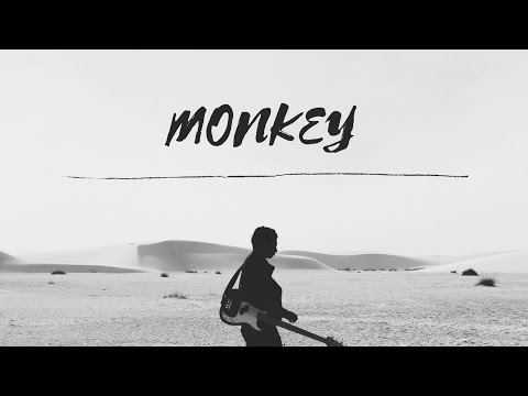 MONKEY - NO ESTAS
