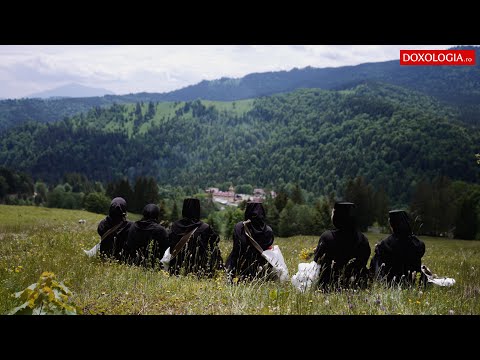 La Paltin, maicile adună plante medicinale și le trasformă în leacuri pentru lume