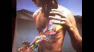 The Love of the Common Man (Back to the Bars) - Todd Rundgren .wmv