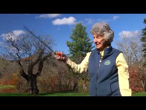 Joan Wulff - Lesson 1:  The Casting Stroke
