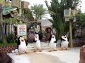 Geng Madagascar I Like To Move It USS 13 11 12