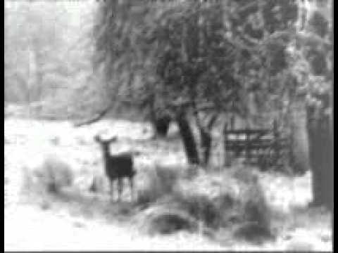 Aäkon Këëtrëh - 04 The Dark Winter