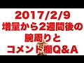 ボディビル初出場までの記録20170209【東京オープン】増量から2週間後の腕周りとコメント欄Q&A
