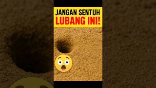 Download lagu Jangan Sentuh Lubang Ini! Ternyata Jebakan Maut Hewan Undur-Undur 😱 #undurundur #pasir #animals mp3 Download lagu Jangan Sentuh Lubang Ini! Ternyata Jebakan Maut Hewan Undur-Undur 😱 #undurundur #pasir #animals mp3