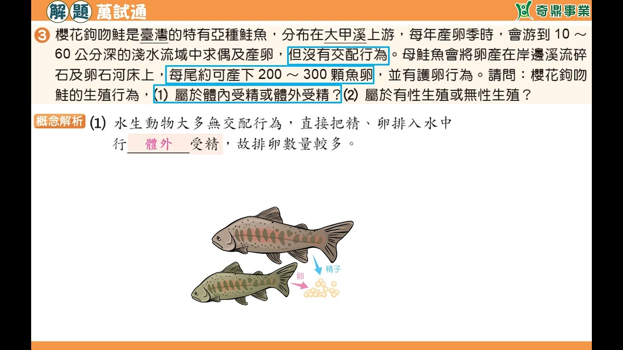 單元6：櫻花鉤吻鮭的生殖行為