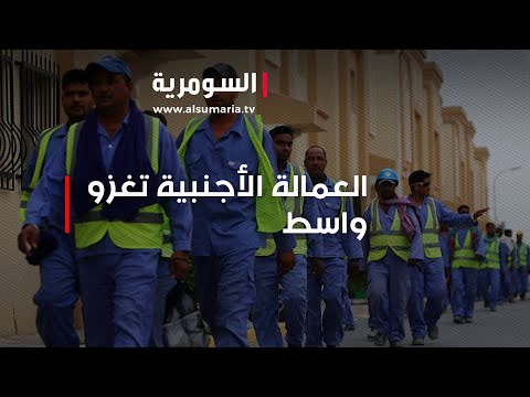شاهد بالفيديو.. العمالة الأجنبية تغزو واسط!