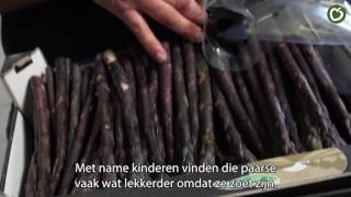 Aspergeteler van La Place - Walter Gubbels #5