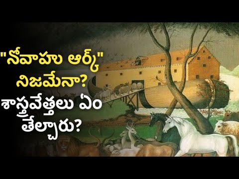 Noah Ark in Telugu | Bible Unknown Facts Telugu | News6G