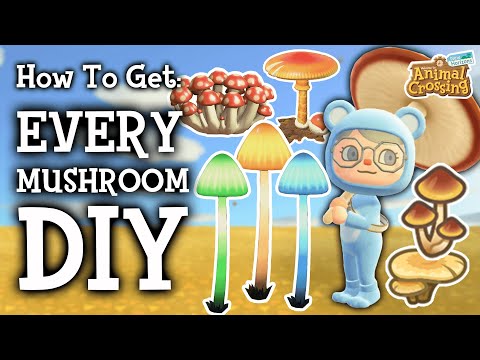 🍄 How To Get Every Mushroom DIY | Animal Crossing New Horizons
