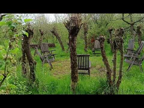unser essbarer Waldgarten im Frühjahr 2023