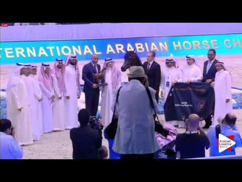 3RD-N.176 ZAHER AL MUAWD - Dubai 2016 - Colts Championship (Class 21)