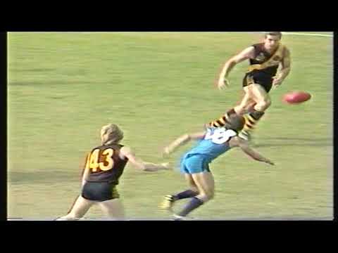 1986 Round 4 Sturt 24.12 156 d Glenelg 20.15 135 Full match