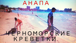 Когда можно ловить креветку в черном море