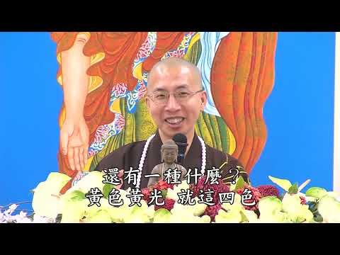 阿彌陀佛四十八大願 第十四集 定弘法師 主講
