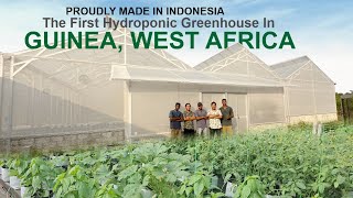 Download lagu Indonesian Hydroponic Greenhouse in Africa - French Edition mp3 Download lagu Indonesian Hydroponic Greenhouse in Africa - French Edition mp3