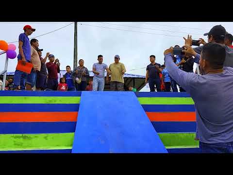 AGUARICO EN DESARROLLO