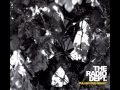 The Radio Dept. - Pulling our weight