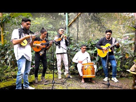 Vivo cantando / Tomando mi yagesito - (cover) Santiago Sanchez & Ayahuasca inca