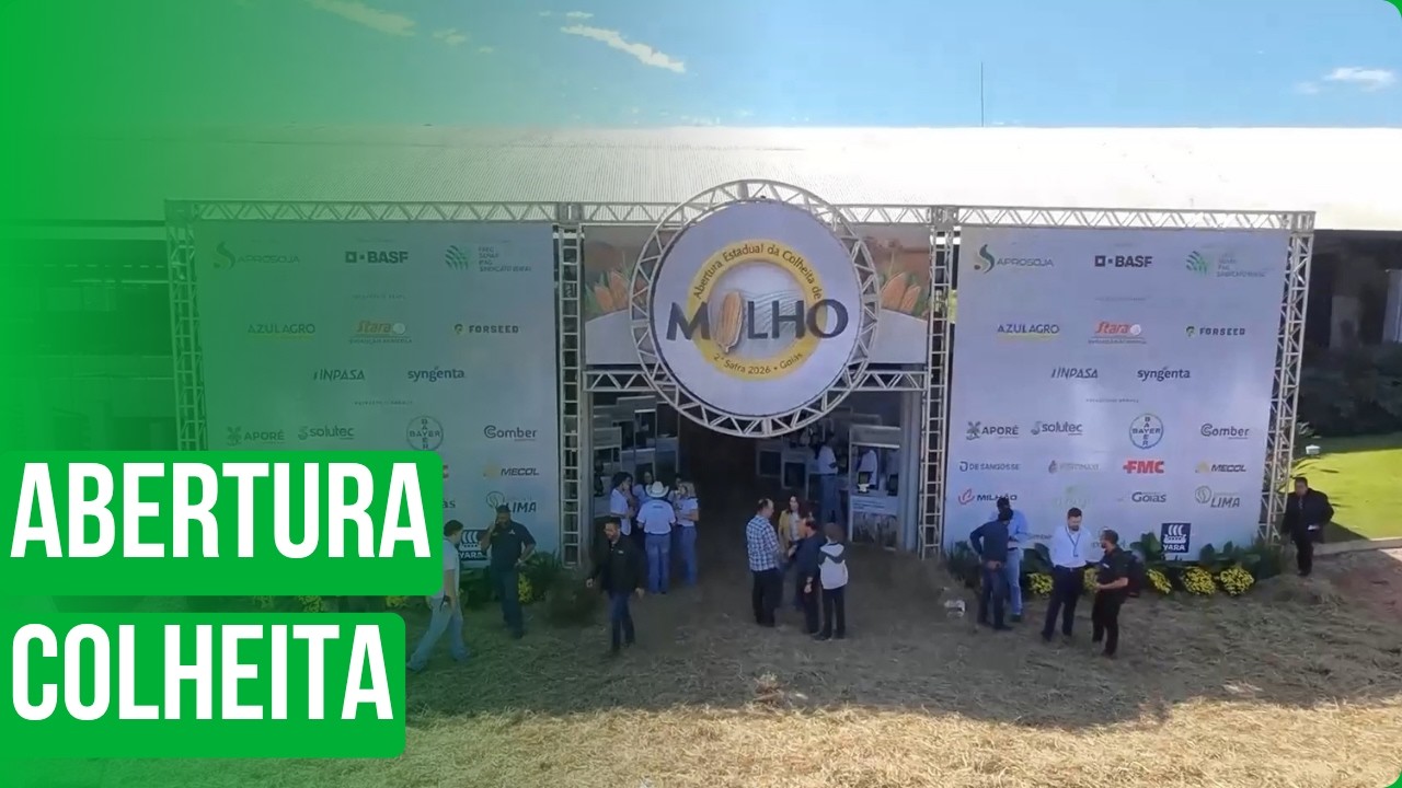 Abertura Estadual da Colheita de Milho