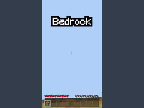 Minecraft Java vs Bedrock!