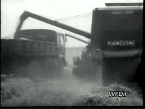 Polska Kronik Filmowa -  Żniwa 1973 w PGR Bieganowo