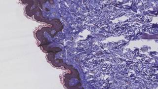 Ghostpoet - Be Right Back Moving House