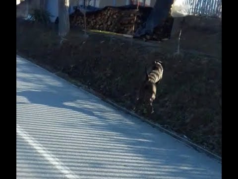 sesije orisa hipertenzija kombinirani hipertenzija terapija