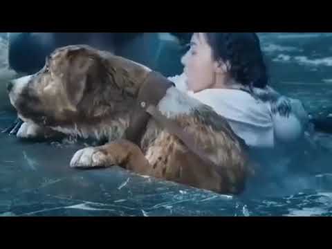 ভালো ভাসা এমনেই হওয়া  উছিত  লাইক দিন