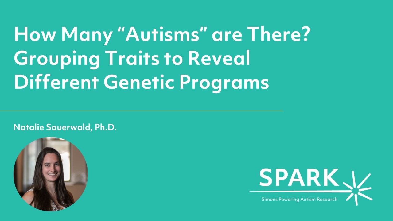 How Many 'Autisms' Are There? Grouping Traits to Reveal Different Genetic Programs