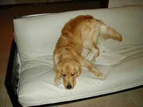 GENARO Y OLIVER...AMIGOS