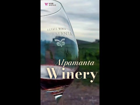“Alpamanta: The Boomerang Winery You Always Come Back To, Mendoza Wine Tour & Biodynamic Experience”