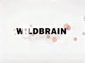 WildBrain Logo 2007 2016 Slow 4x