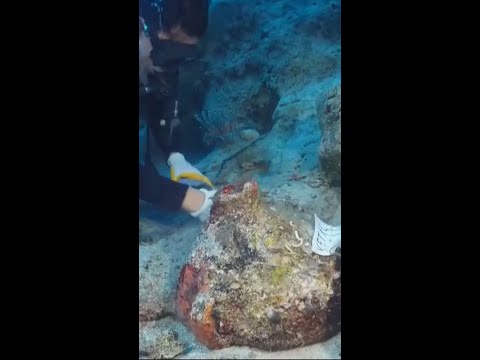 Divers investigate site of world’s oldest shipwreck
