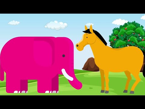 एक मोटा हाथी और चल मेरे घोड़े | Ek Mota Hathi And Chal Mere Ghode Chal Tik Tik | Nursery Rhymes