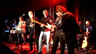 Billy Swan, Doyle Dykes, James Burton, Gary Roller,  Performing Polk Salad Annie
