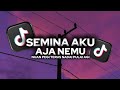 DJ SEMINA AKU AJA NEMU DAYAK REMIX LAGU IBAN REMIX VIRAL 2026