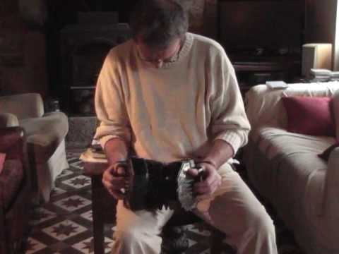 Wheatstone Concertina - Image 2