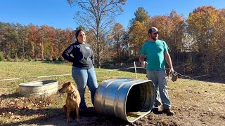 We Go Together Like Peas & Carrots || November 2025