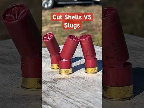 Cut Shotgun Shells Vs Shotgun Slugs: Same Thing? #shotgun #civtac #gun