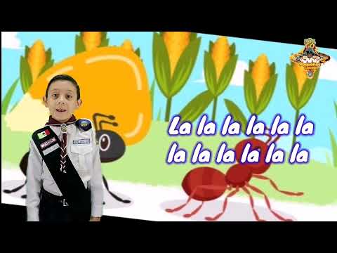 Edifica su casita - Yassir Gutiérrez