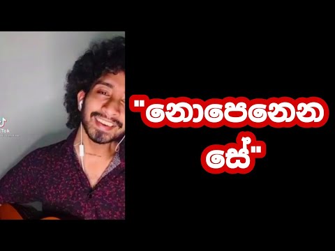 Nopenena Se || නොපෙනෙන සේ ||Cover by || Amisha Minol